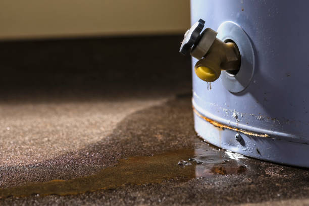 Best Water damage cleanup near me  in Bella Vista, CA