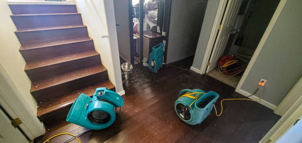 Best Flood restoration services  in Bella Vista, CA