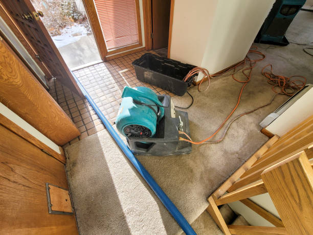 Best Water damage restoration insurance claims  in Bella Vista, CA