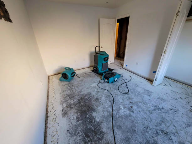 Best Flood restoration services  in Bella Vista, CA