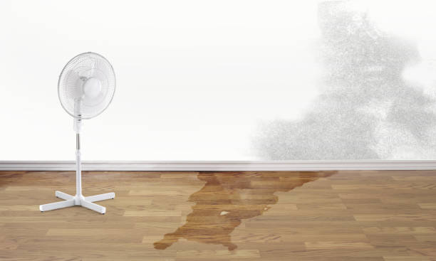 Best Water damage restoration services  in Bella Vista, CA