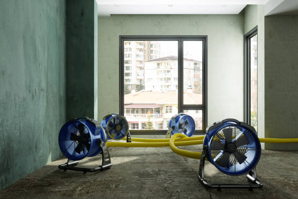 Best Fire Damage Restoration  in Bella Vista, CA